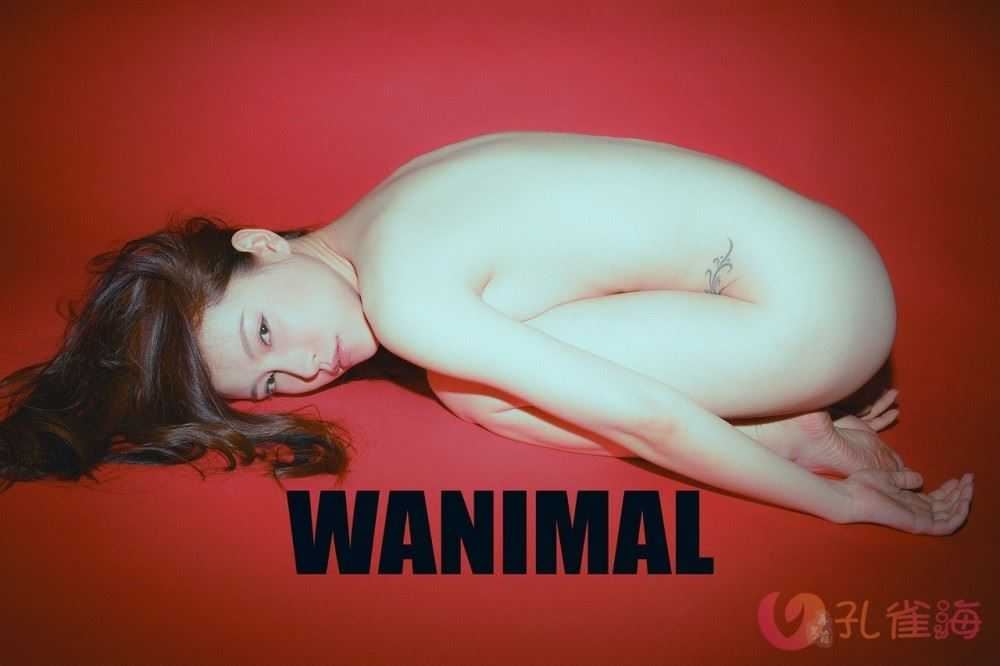 [合集]珍藏写真《WANIMAL王动》系列全套包含高清视频和套图，大小75.2G-美图