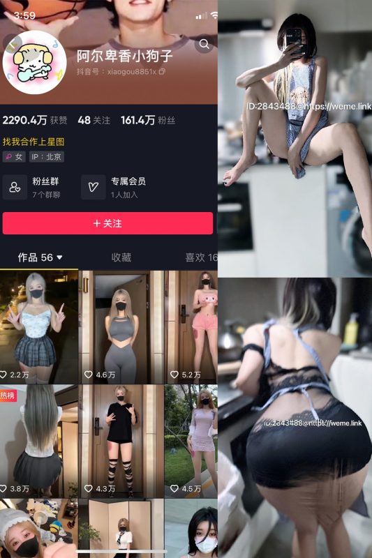 阿尔卑香小狗子 微密圈 NO.005期-美图