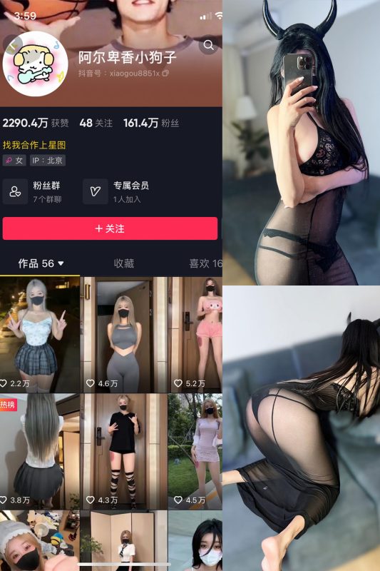 阿尔卑香小狗子 微密圈 NO.003期-美图